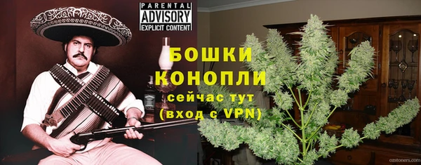 мдпв Волосово